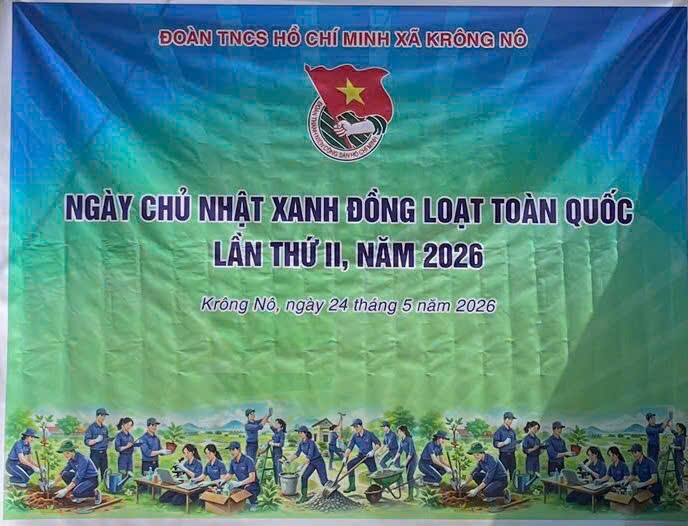 Ảnh 5
